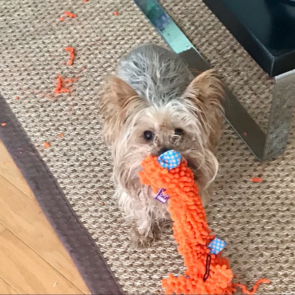 Eric @Top_Of_The_Mark - Picture 13 of 16